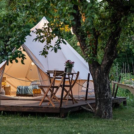 Hotel Dragonfly Gardens Urban Glamping Brašov Exteriér fotografie