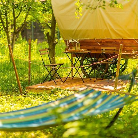 Hotel Dragonfly Gardens Urban Glamping Brašov Exteriér fotografie