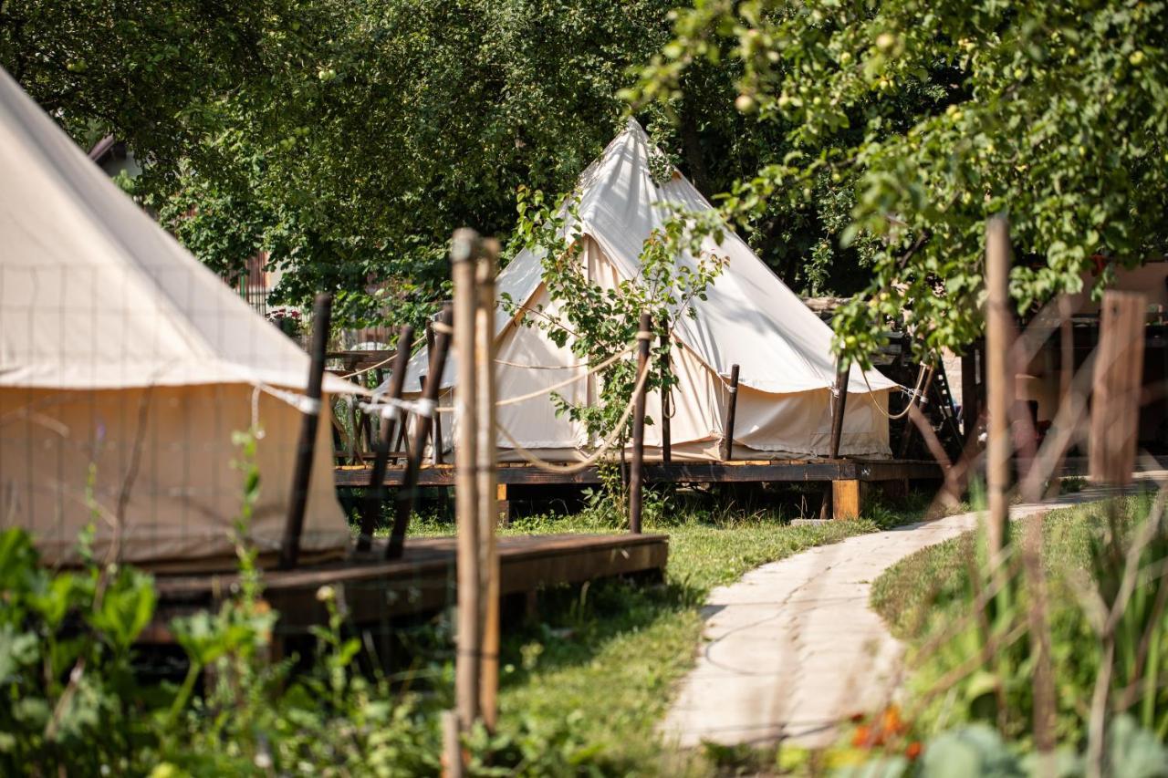 Hotel Dragonfly Gardens Urban Glamping Brašov Exteriér fotografie
