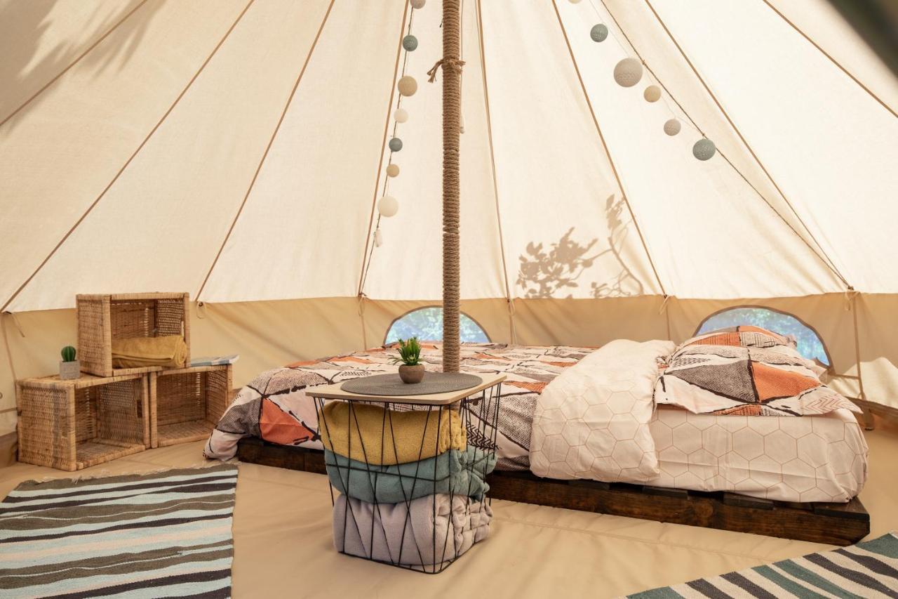 Hotel Dragonfly Gardens Urban Glamping Brašov Exteriér fotografie