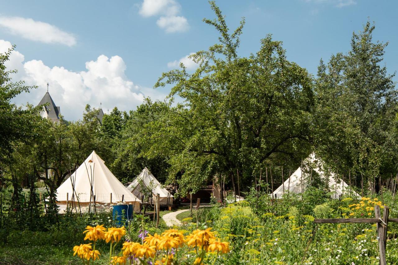 Hotel Dragonfly Gardens Urban Glamping Brašov Exteriér fotografie