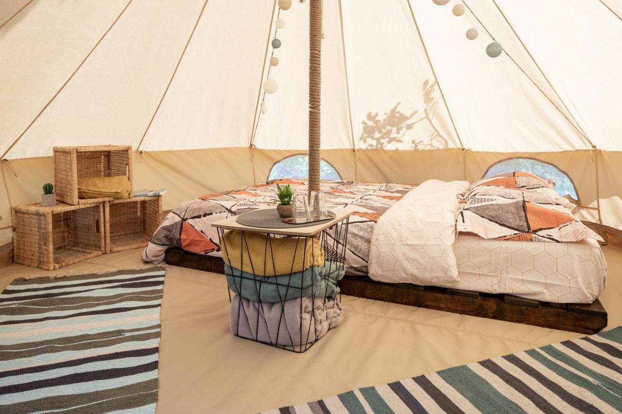 Hotel Dragonfly Gardens Urban Glamping Brašov Exteriér fotografie