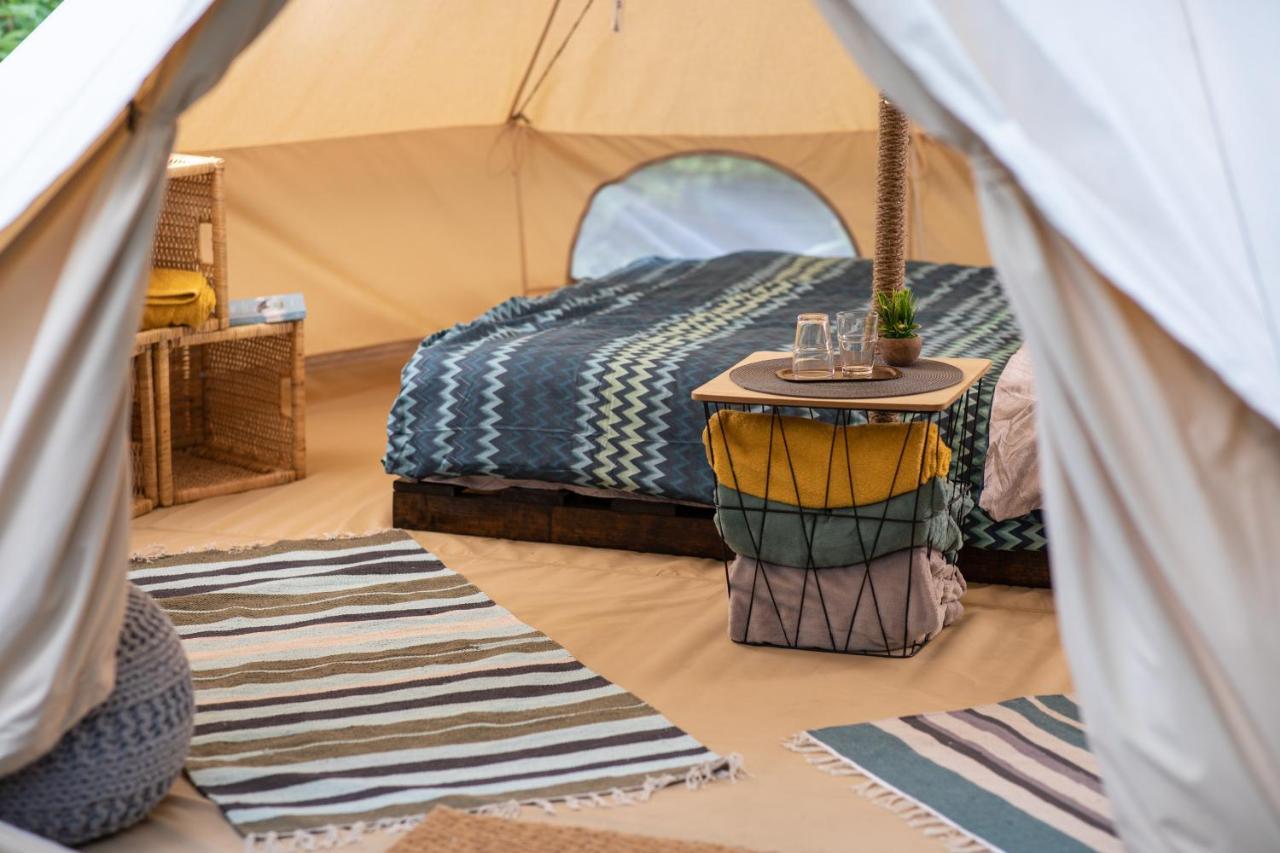 Hotel Dragonfly Gardens Urban Glamping Brašov Exteriér fotografie