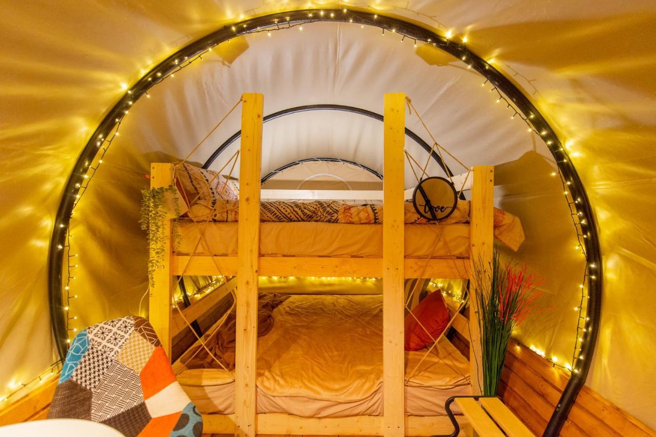 Hotel Dragonfly Gardens Urban Glamping Brašov Exteriér fotografie