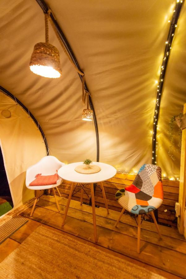 Hotel Dragonfly Gardens Urban Glamping Brašov Exteriér fotografie
