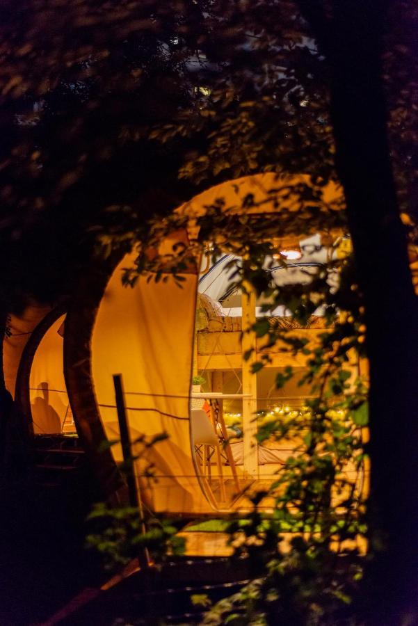 Hotel Dragonfly Gardens Urban Glamping Brašov Exteriér fotografie