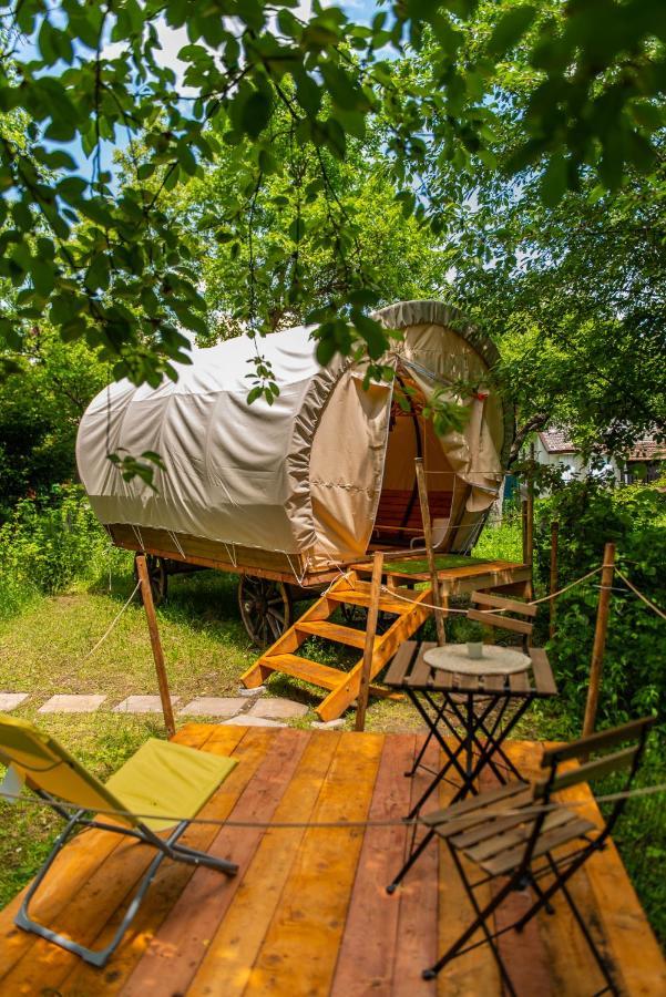 Hotel Dragonfly Gardens Urban Glamping Brašov Exteriér fotografie