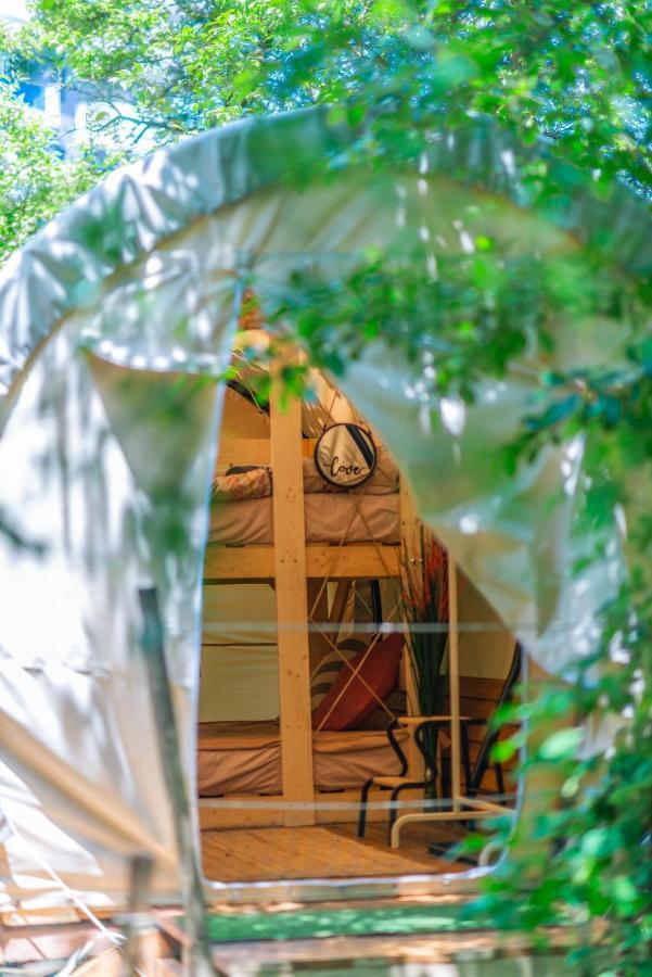 Hotel Dragonfly Gardens Urban Glamping Brašov Exteriér fotografie