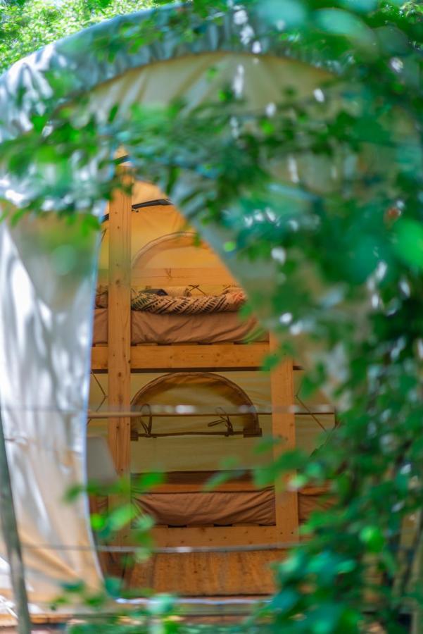 Hotel Dragonfly Gardens Urban Glamping Brašov Exteriér fotografie