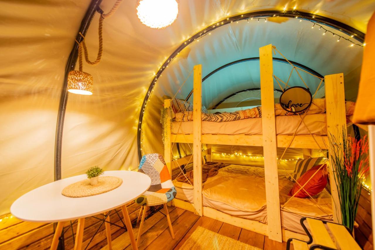Hotel Dragonfly Gardens Urban Glamping Brašov Exteriér fotografie