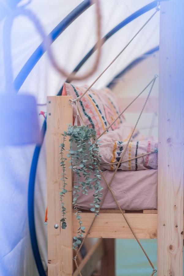 Hotel Dragonfly Gardens Urban Glamping Brašov Exteriér fotografie