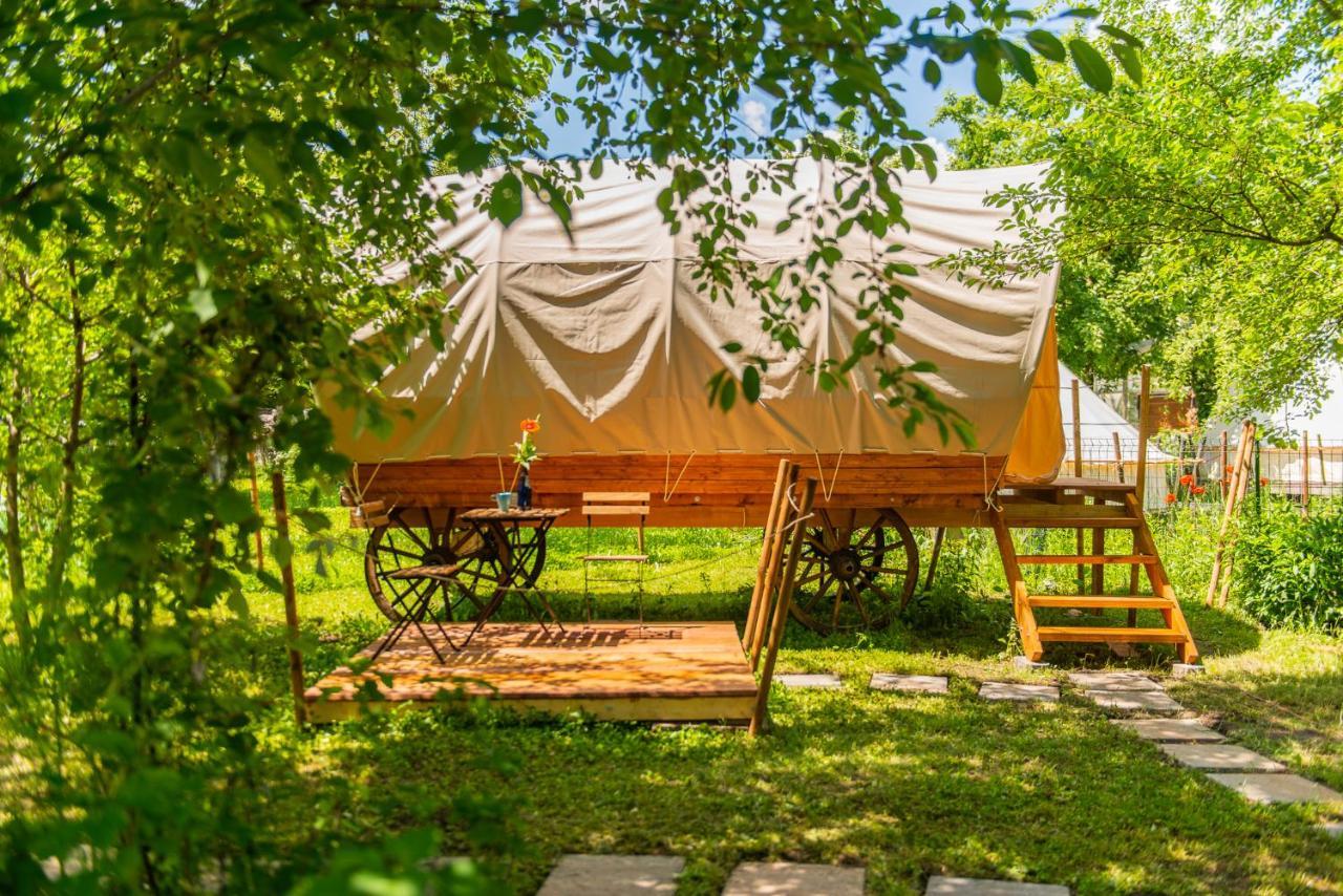 Hotel Dragonfly Gardens Urban Glamping Brašov Exteriér fotografie